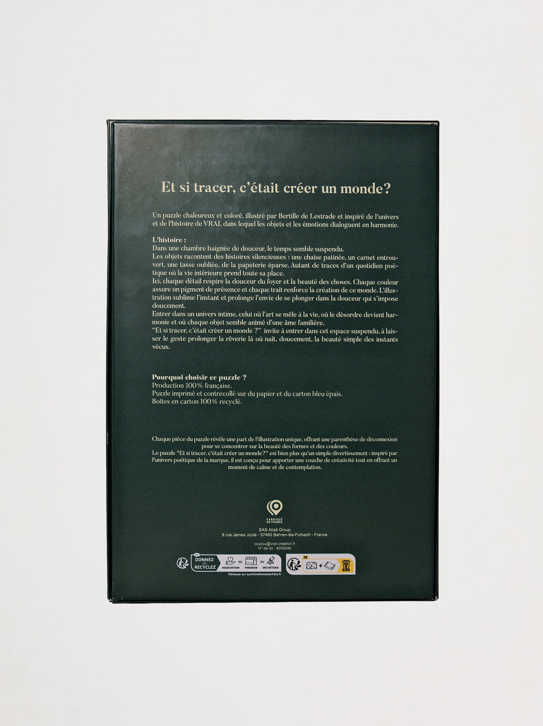 Puzzle L'Intérieur VRAI